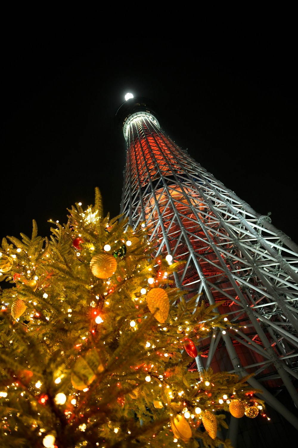 東京スカイツリータウンのクリスマス、約50万球で彩るイルミネーションやグランピングBBQも｜写真3