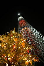 東京スカイツリータウンのクリスマス、約50万球で彩るイルミネーションやグランピングBBQも｜写真3