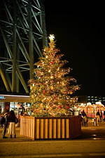 東京スカイツリータウンのクリスマス、約50万球で彩るイルミネーションやグランピングBBQも｜写真2