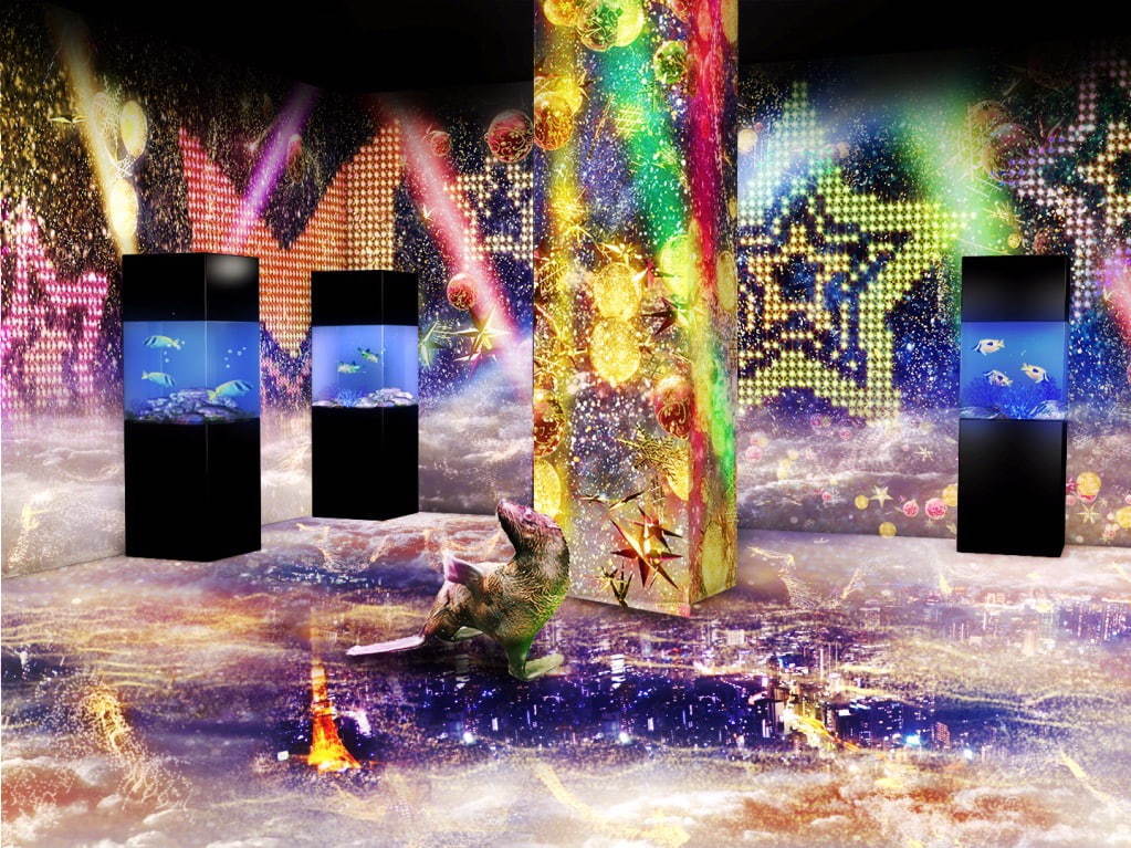 マクセル アクアパーク品川のクリスマス「スターアクアリウム」光と織りなすイルカパフォーマンスなど｜写真12