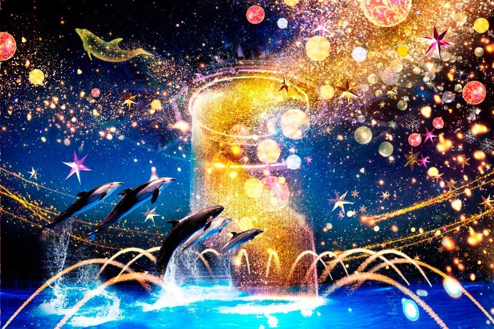 アクアリウム｜マクセル アクアパーク品川のクリスマス「スターアクアリウム」光と織りなすイルカパフォーマンスなど