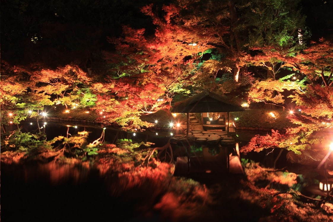 東京 白金台の八芳園 秋の紅葉ライトアップ 100本のもみじと光で演出する 紅い夜 ファッションプレス
