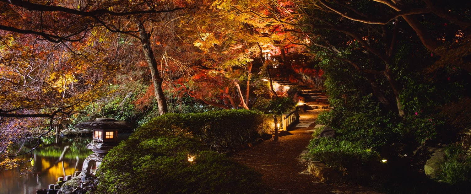 東京・白金台の八芳園、秋の紅葉ライトアップ - 100本のもみじと光で演出する“紅い夜”｜写真3