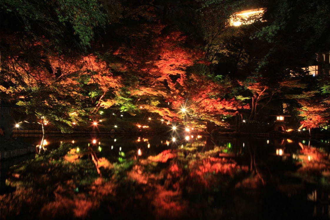 東京・白金台の八芳園、秋の紅葉ライトアップ - 100本のもみじと光で演出する“紅い夜”｜写真2