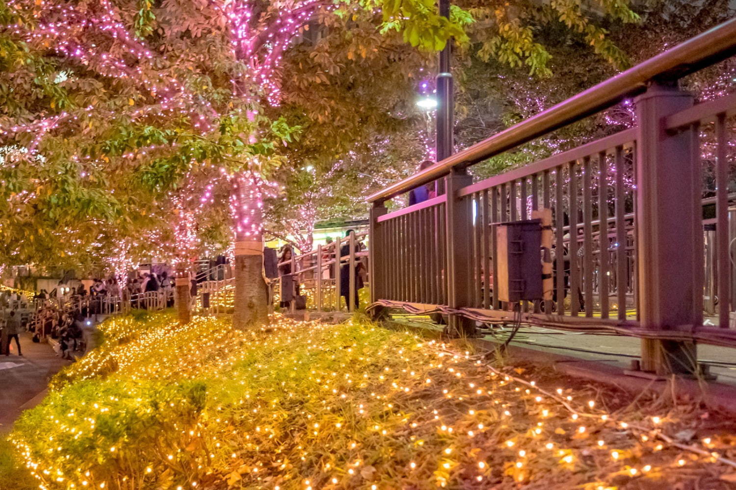 「目黒川みんなのイルミネーション2019」総延長約2.2km、41万個のLEDで楽しむ“冬の桜”｜写真7