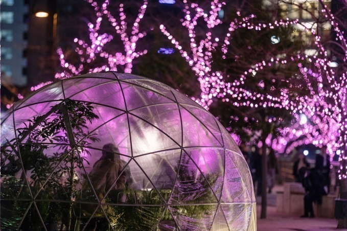 「目黒川みんなのイルミネーション2019」総延長約2.2km、41万個のLEDで楽しむ“冬の桜”｜写真19