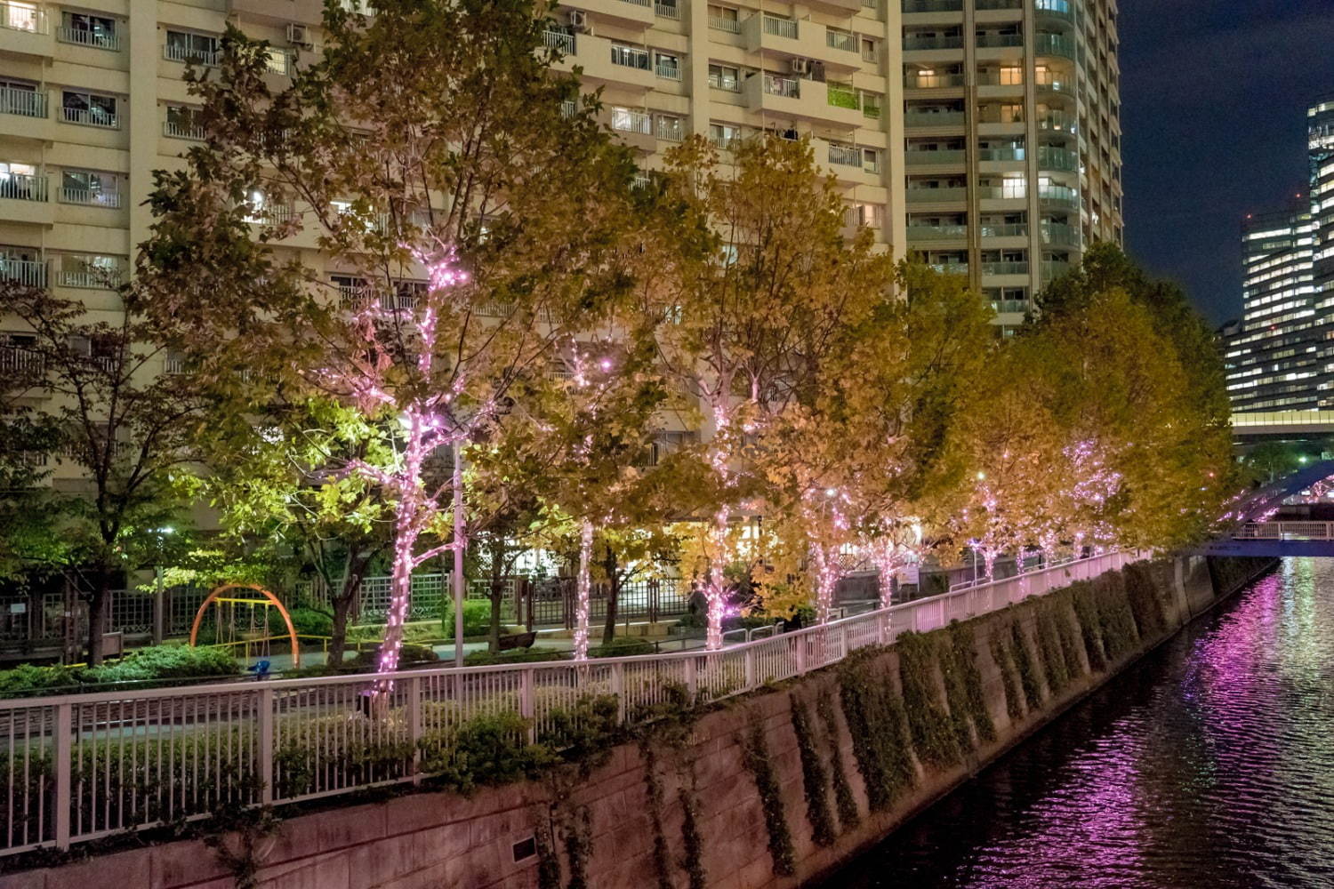 「目黒川みんなのイルミネーション2019」総延長約2.2km、41万個のLEDで楽しむ“冬の桜”｜写真13