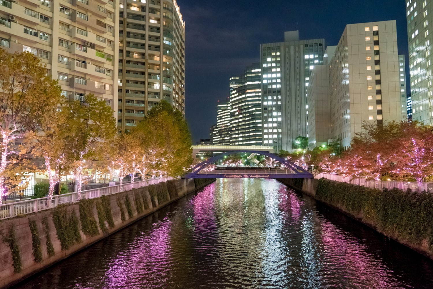 「目黒川みんなのイルミネーション2019」総延長約2.2km、41万個のLEDで楽しむ“冬の桜”｜写真12