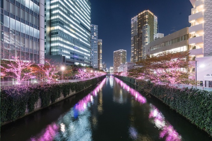 「目黒川みんなのイルミネーション2019」総延長約2.2km、41万個のLEDで楽しむ“冬の桜”｜写真18