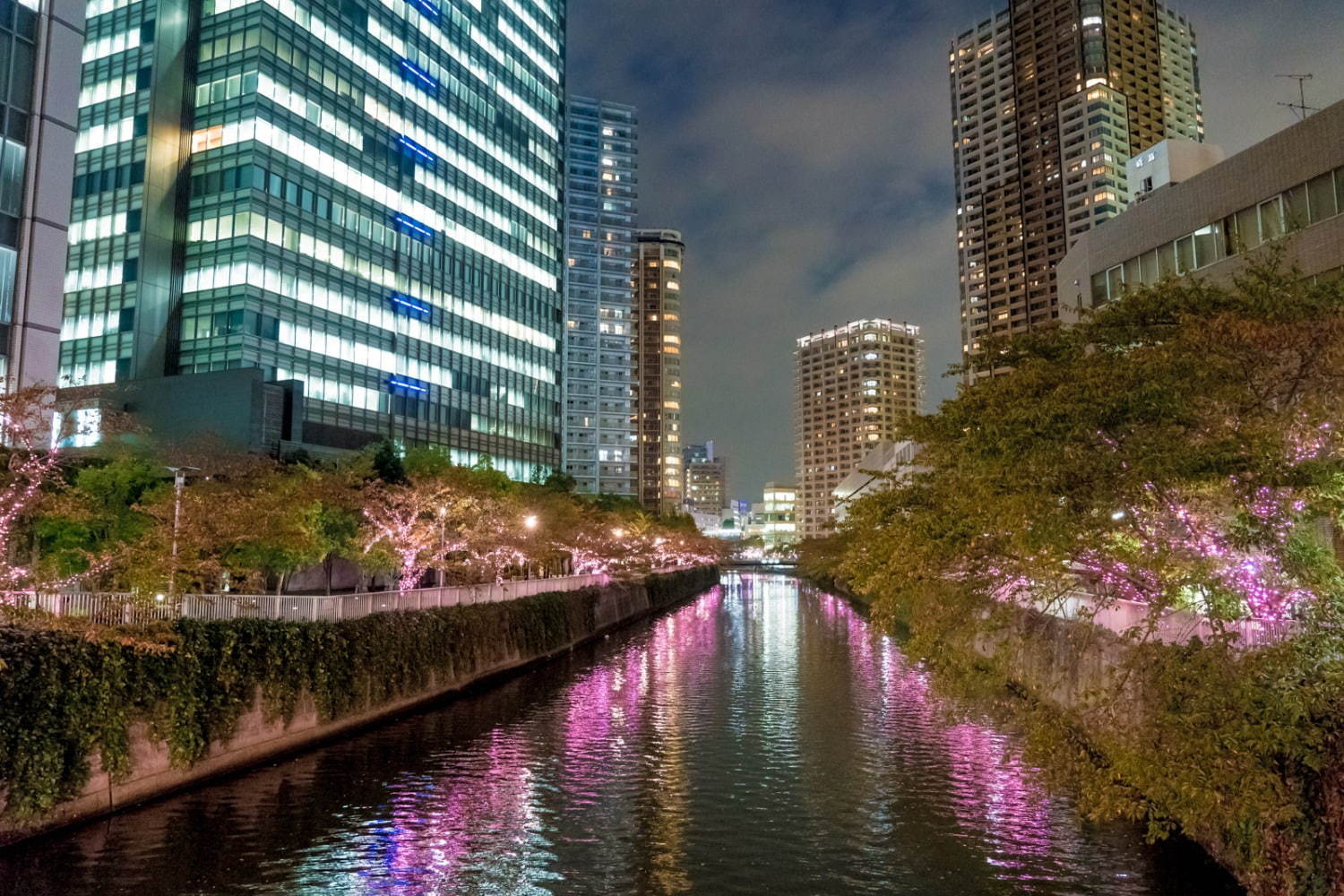 「目黒川みんなのイルミネーション2019」総延長約2.2km、41万個のLEDで楽しむ“冬の桜”｜写真11