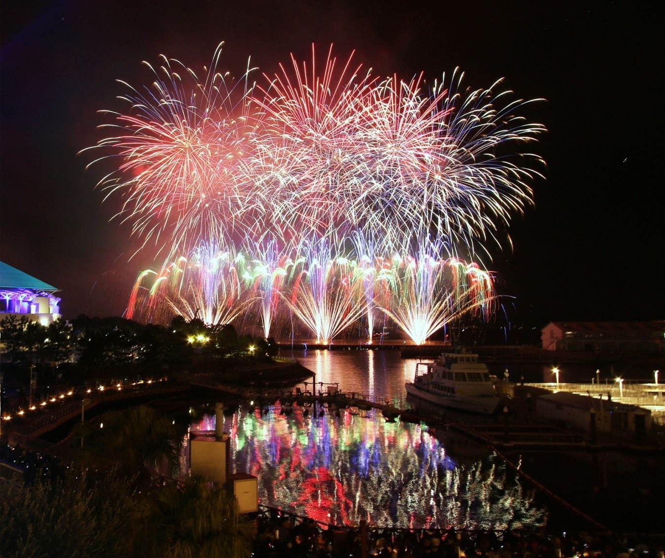 横浜・八景島シーパラダイスのクリスマス、サンタが水槽に現れるイワシショーやペンギンパレード｜写真12