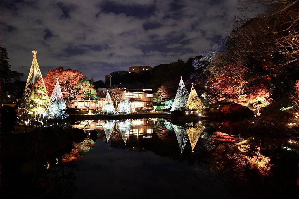 「秋の紅葉ライトアップ」東京・肥後細川庭園で、色づく紅葉と光が織りなす幻想空間｜写真4