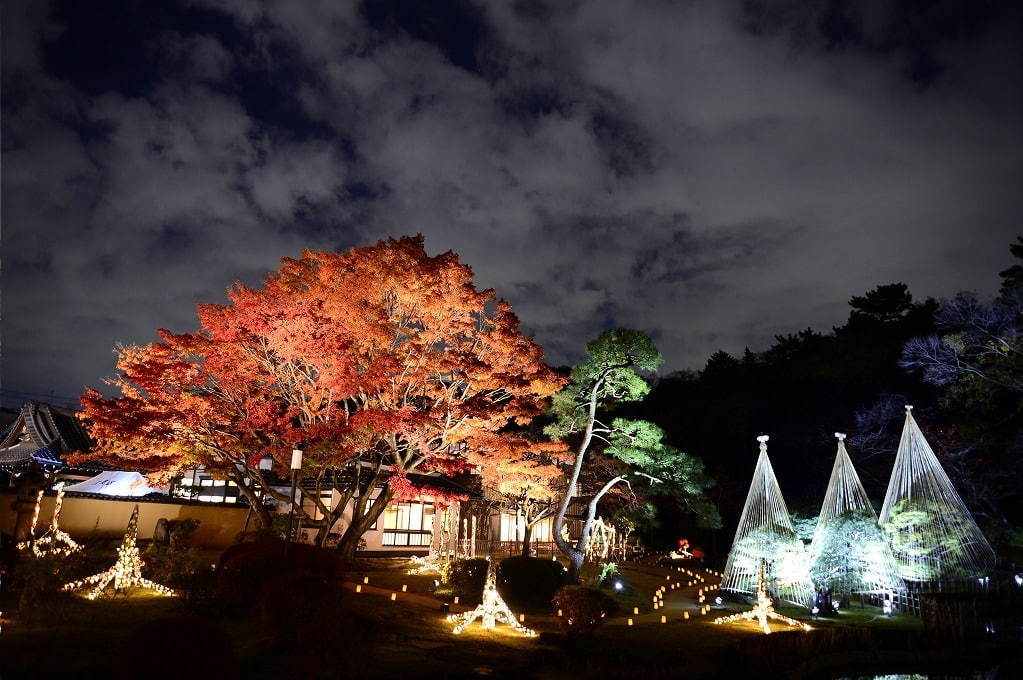 「秋の紅葉ライトアップ」東京・肥後細川庭園で、色づく紅葉と光が織りなす幻想空間｜写真5