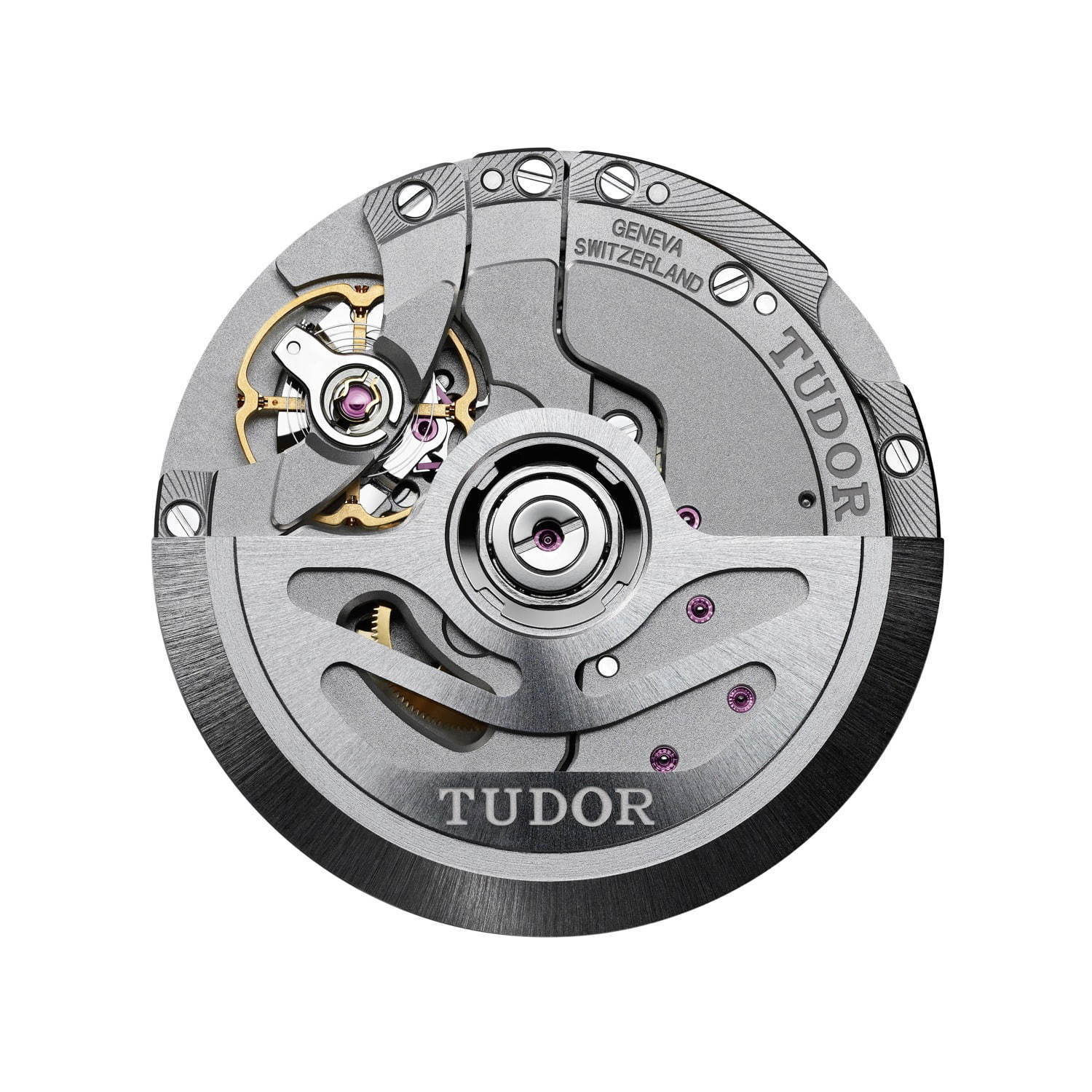 チューダー(TUDOR) ブラックベイ P01｜写真15