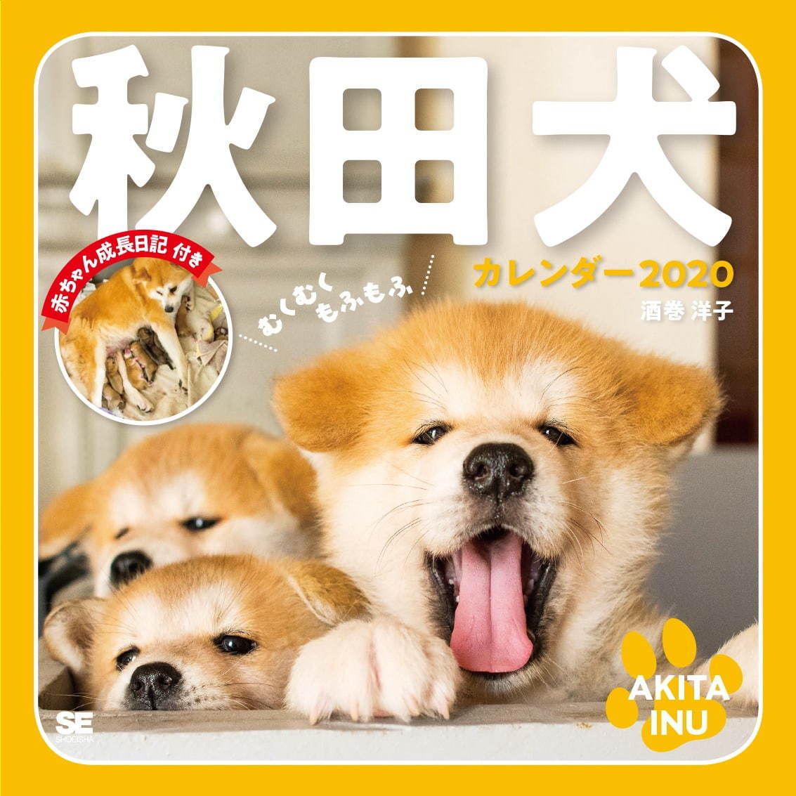 写真6 6 写真展 秋田犬のおやこ 秋田 大館市で 秋田犬の子犬4匹を捉えた全26点を展示 ファッションプレス 写真6 6 写真展 秋田犬のおやこ 秋田 大館市で 秋田犬の子犬4匹を捉えた全26点を展示 ファッションプレス