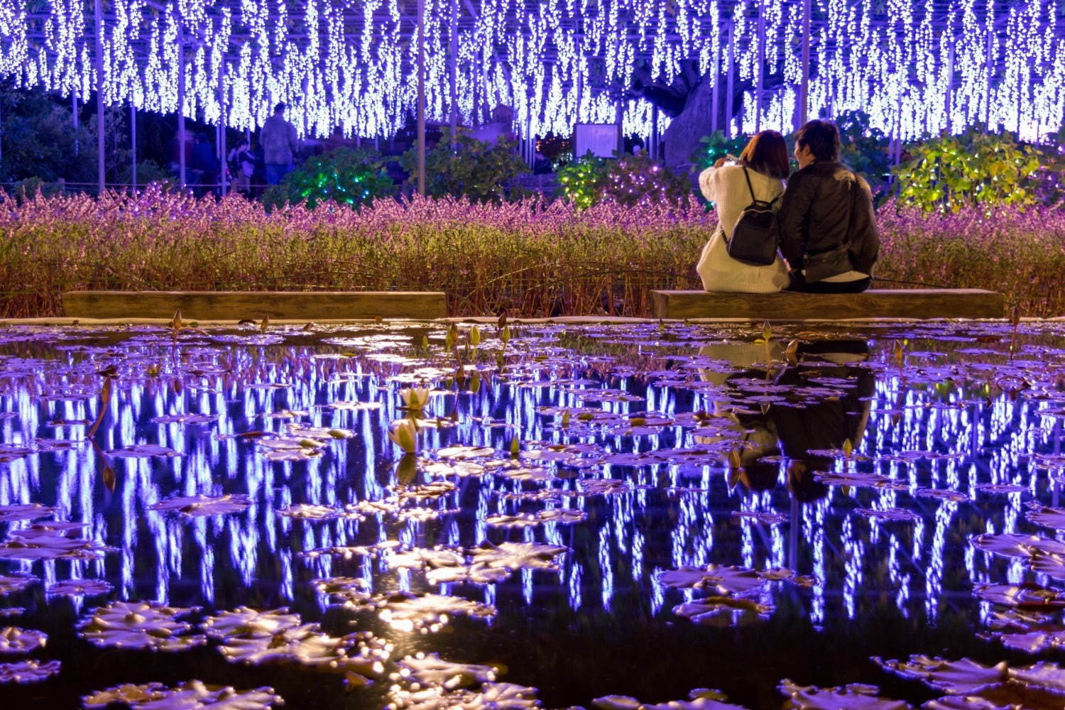 栃木・あしかがフラワーパークのイルミネーション - “藤の花”煌くライトアップ＆童話のようなお城も｜写真8