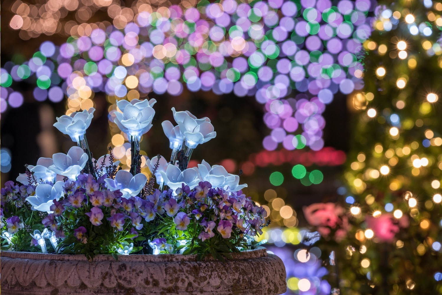 栃木・あしかがフラワーパークのイルミネーション - “藤の花”煌くライトアップ＆童話のようなお城も｜写真16