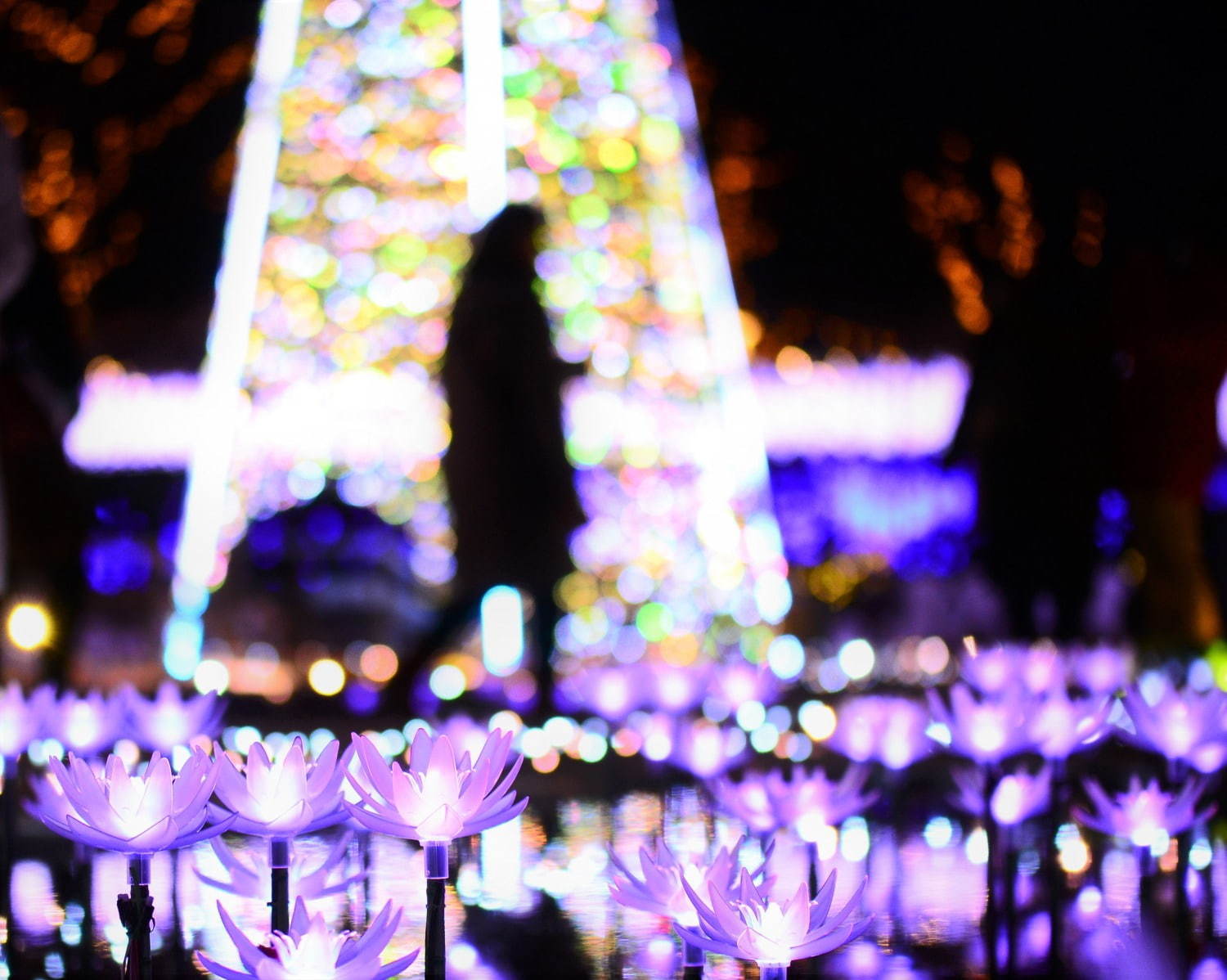 栃木・あしかがフラワーパークのイルミネーション - “藤の花”煌くライトアップ＆童話のようなお城も｜写真9