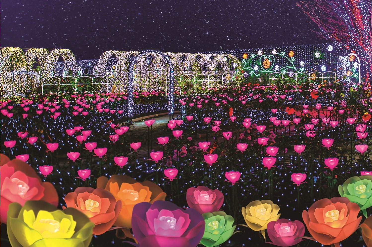 栃木・あしかがフラワーパークのイルミネーション - “藤の花”煌くライトアップ＆童話のようなお城も｜写真18