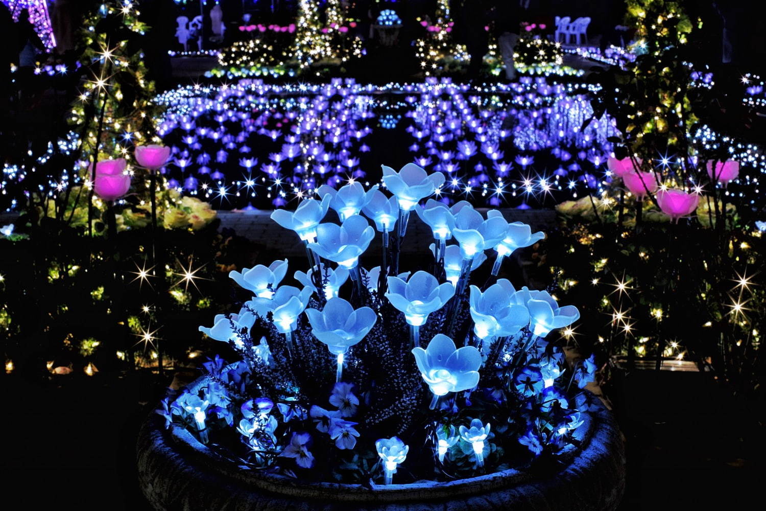 栃木・あしかがフラワーパークのイルミネーション - “藤の花”煌くライトアップ＆童話のようなお城も｜写真15