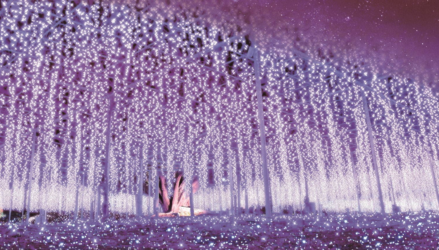 栃木 あしかがフラワーパークのイルミネーション 藤の花 煌くライトアップ 童話のようなお城も ファッションプレス