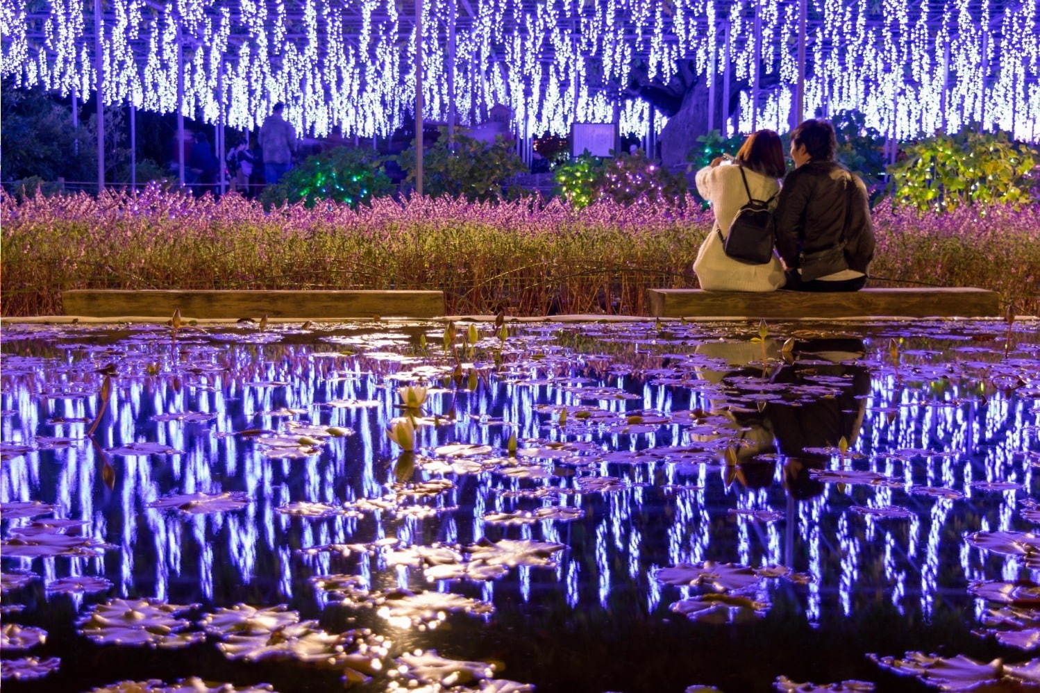 栃木・あしかがフラワーパークのイルミネーション - “藤の花”煌くライトアップ＆童話のようなお城も｜写真17