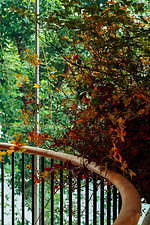 ロエベ(LOEWE) カサ ロエベ 東京｜写真43