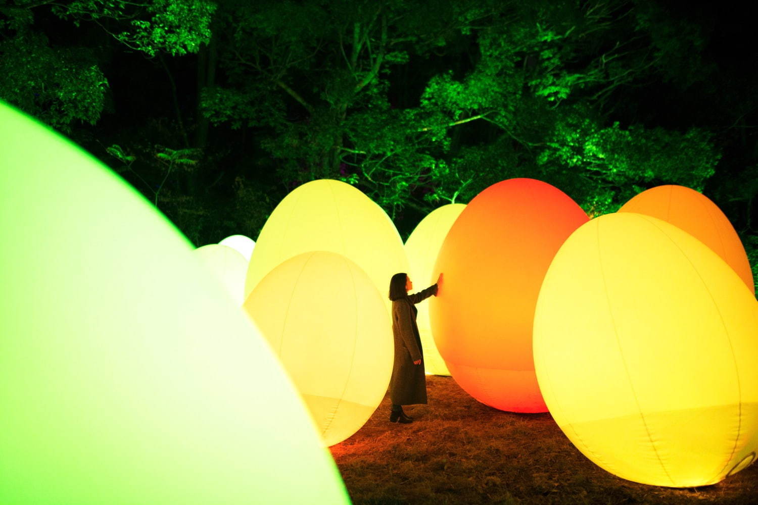 「チームラボ 福岡城跡 光の祭 2019-2020」夜の福岡城跡が光のアート空間に｜写真5
