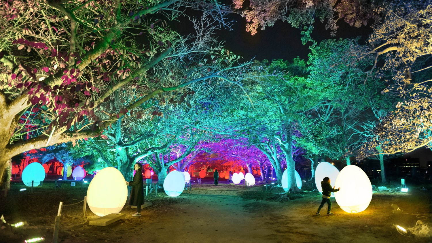 「チームラボ 福岡城跡 光の祭 2019-2020」夜の福岡城跡が光のアート空間に｜写真1