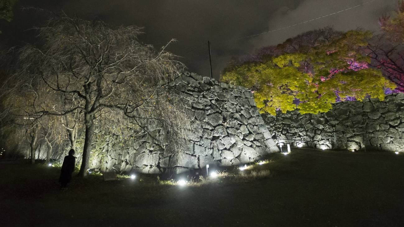 「チームラボ 福岡城跡 光の祭 2019-2020」夜の福岡城跡が光のアート空間に｜写真3