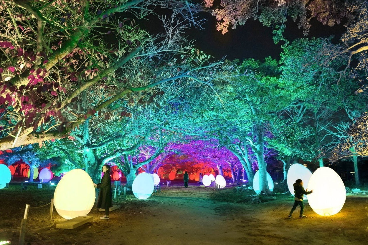 舞鶴公園「チームラボ 福岡城跡 光の祭 2019-2020」