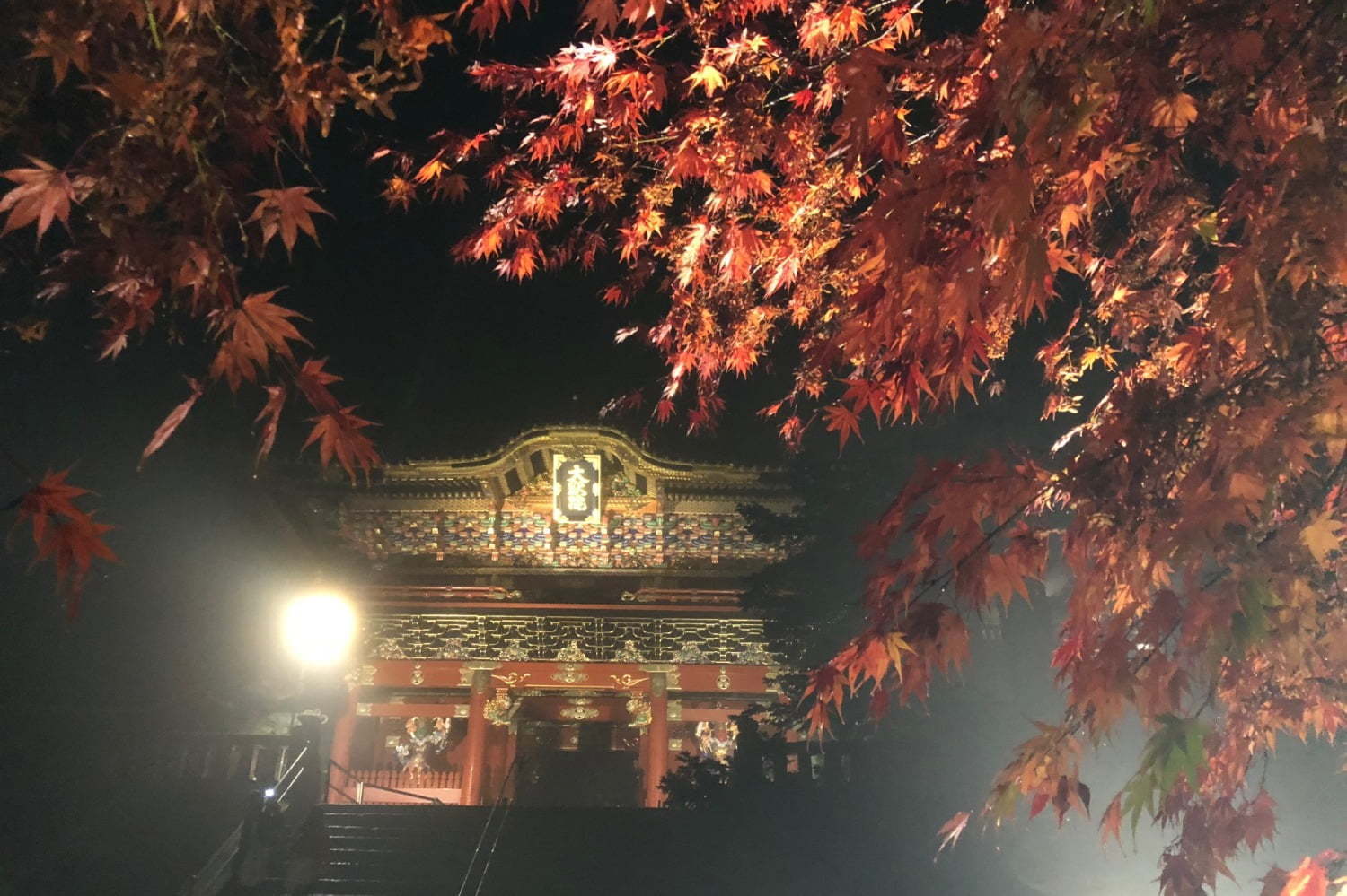 ライトアップ日光19 東照宮ほか日光の社寺と紅葉の共演 史上初華厳ノ滝ライトアップも ファッションプレス ライトアップ日光19 東照宮ほか日光の社寺と紅葉の共演 史上初華厳ノ滝ライトアップも ファッションプレス