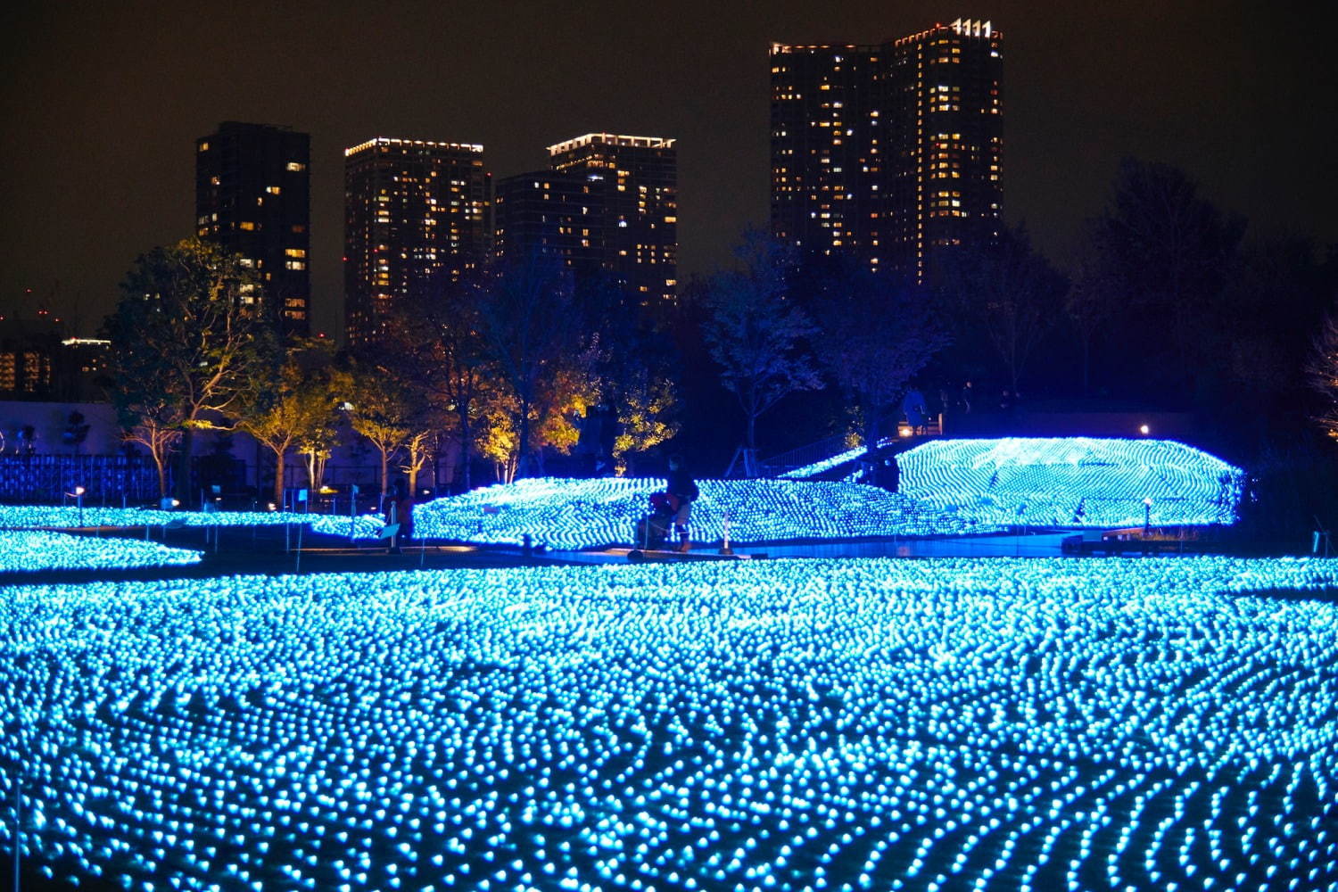 品川シーズンテラス、青色に輝く芝生広場や“光の大階段”のイルミネーション