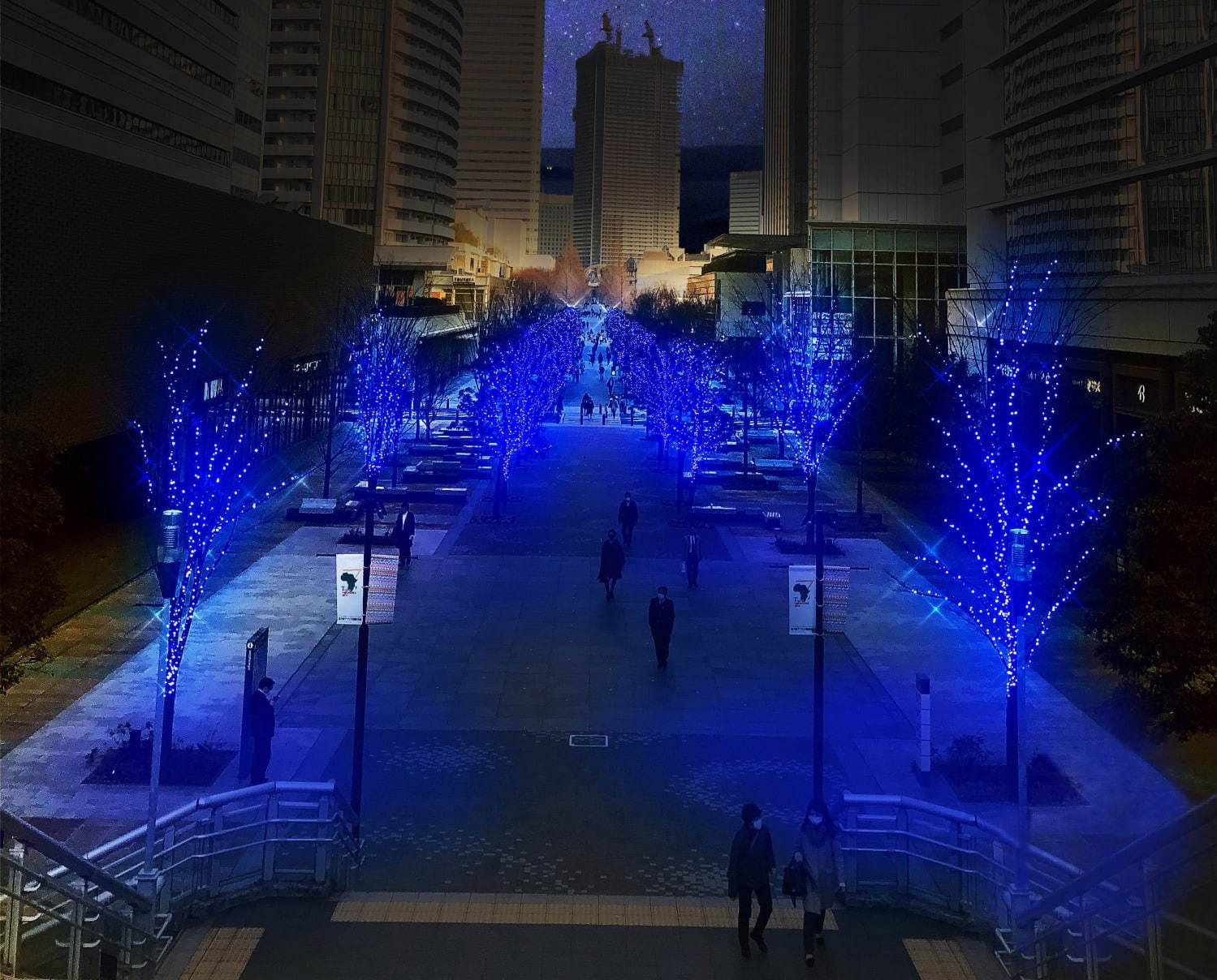 横浜・みなとみらいのイルミネーション「ヨコハマミライト」横浜駅東口〜さくら通りに約50万球の光｜写真13