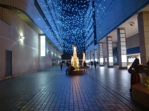 横浜・みなとみらいのイルミネーション「ヨコハマミライト」横浜駅東口〜さくら通りに約50万球の光｜写真6