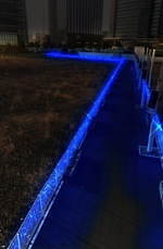 横浜・みなとみらいのイルミネーション「ヨコハマミライト」横浜駅東口〜さくら通りに約50万球の光｜写真9