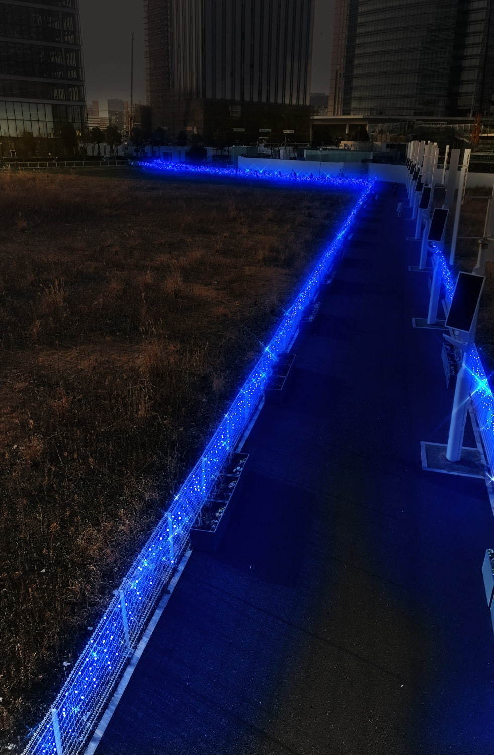 横浜・みなとみらいのイルミネーション「ヨコハマミライト」横浜駅東口〜さくら通りに約50万球の光｜写真9