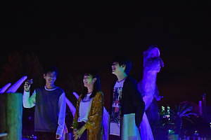 体験型イルミネーション「伊豆高原グランイルミ」煌めくレールを滑る"流星"ジップラインなど｜写真2