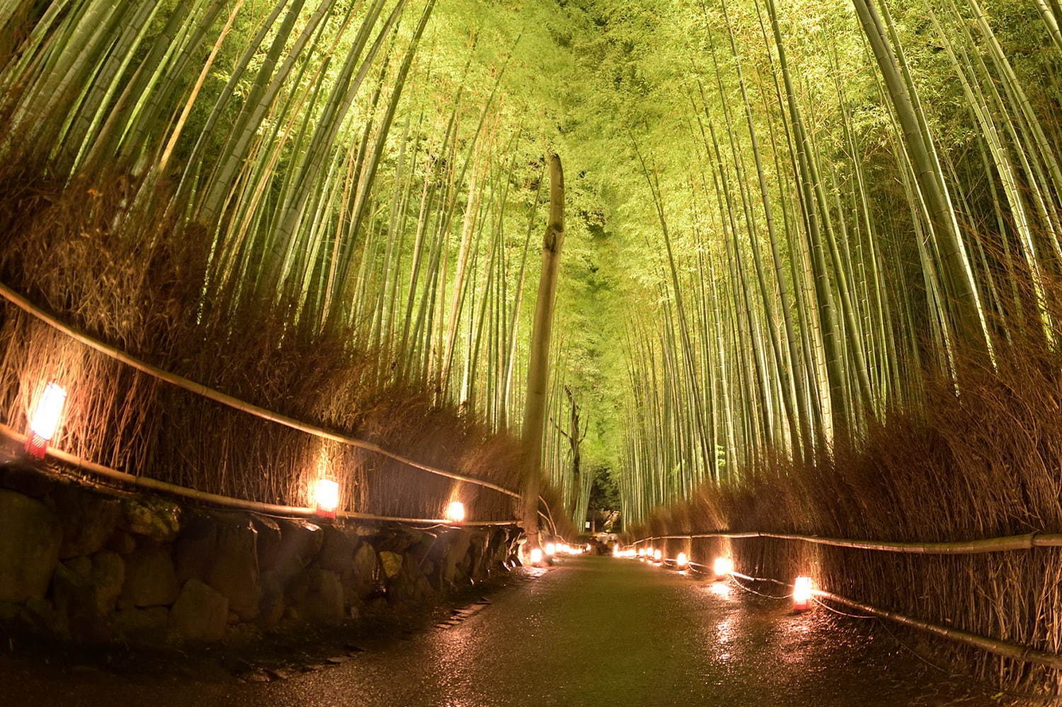 京都・嵐山 観光ガイド - 渡月橋や竹林の小径など名所を巡るモデルコース＆アクセスマップ特集｜写真3