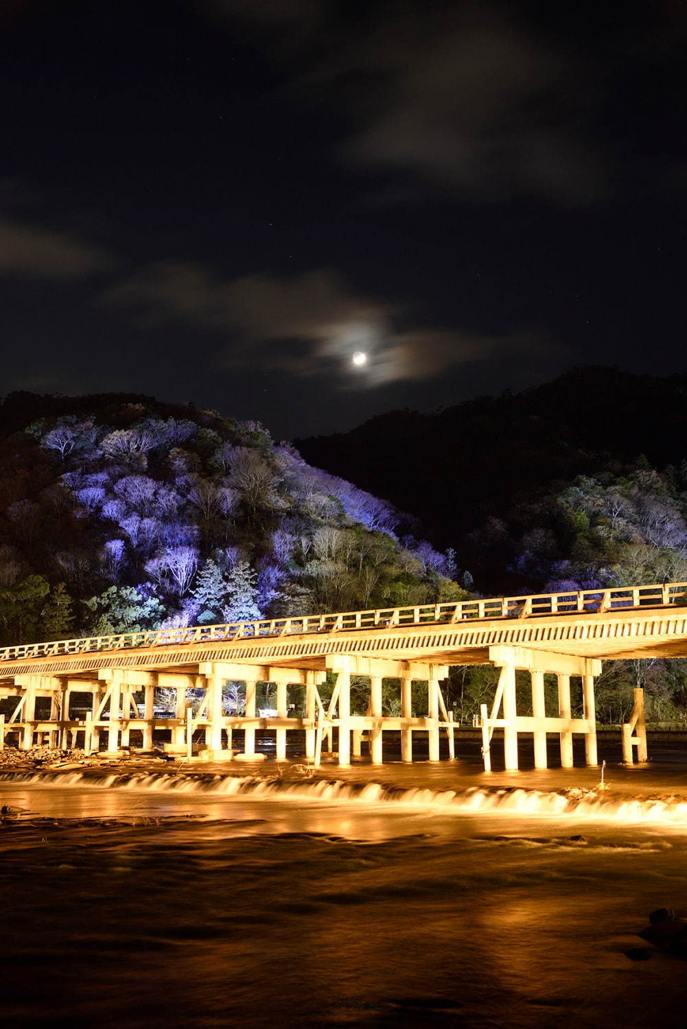 京都・嵐山 観光ガイド - 渡月橋や竹林の小径など名所を巡るモデルコース＆アクセスマップ特集｜写真2
