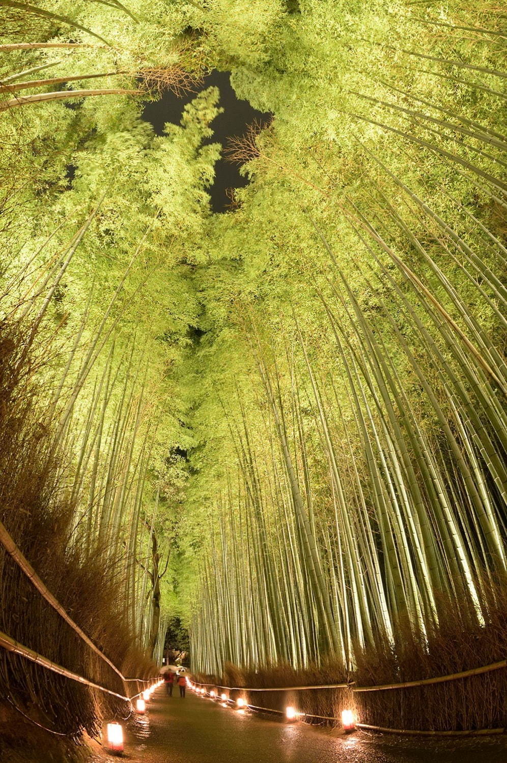 京都・嵐山 観光ガイド - 渡月橋や竹林の小径など名所を巡るモデルコース＆アクセスマップ特集｜写真4