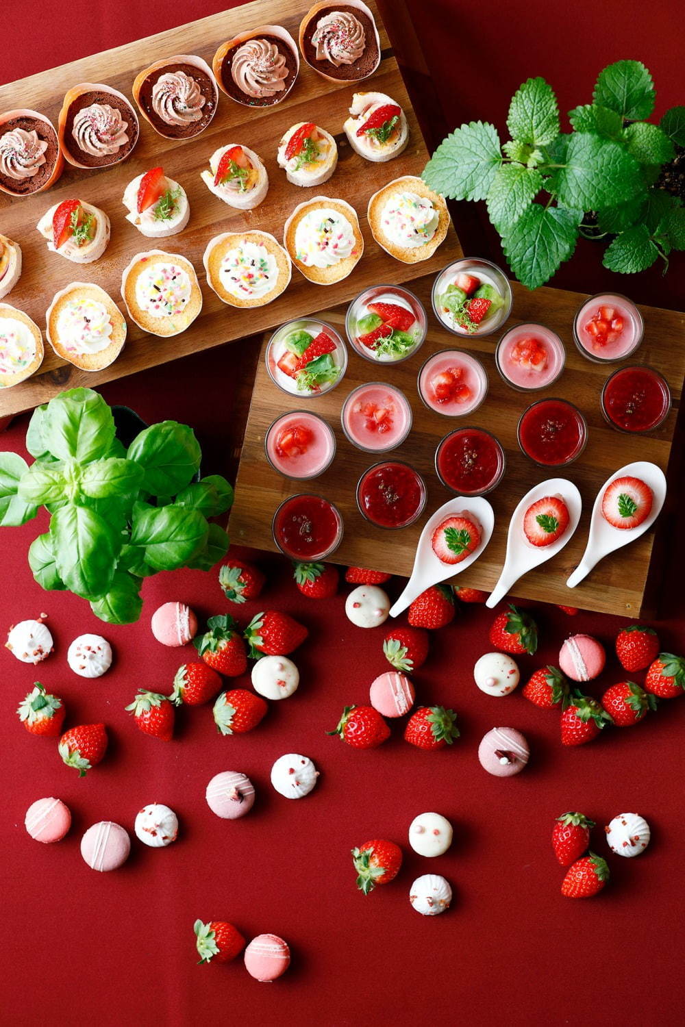 京都ブライトンホテルのストロベリーブッフェ「ハーブを愛する苺たち」いちご×ハーブのスイーツ約30種｜写真1