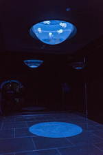 池袋サンシャイン水族館に新クラゲエリア「海月空感」横幅約14メートル、国内最大級のミズクラゲ水槽｜写真9