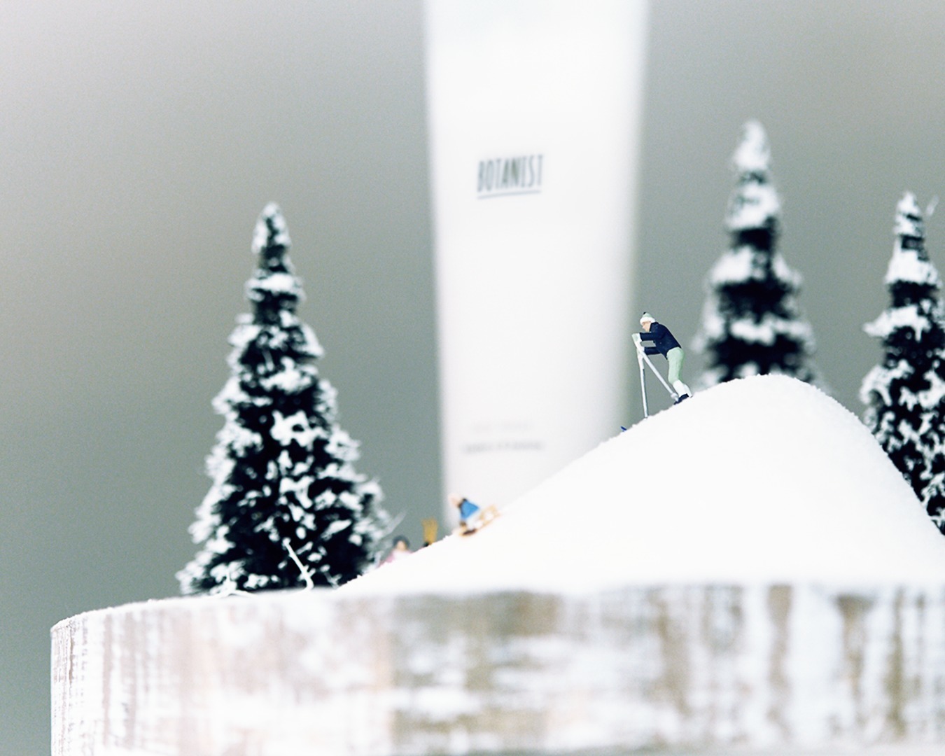 ボタニスト トウキョウ“クリスマスツリー”型の限定ホットチョコ、クッキーや花びらを自由にトッピング｜写真8