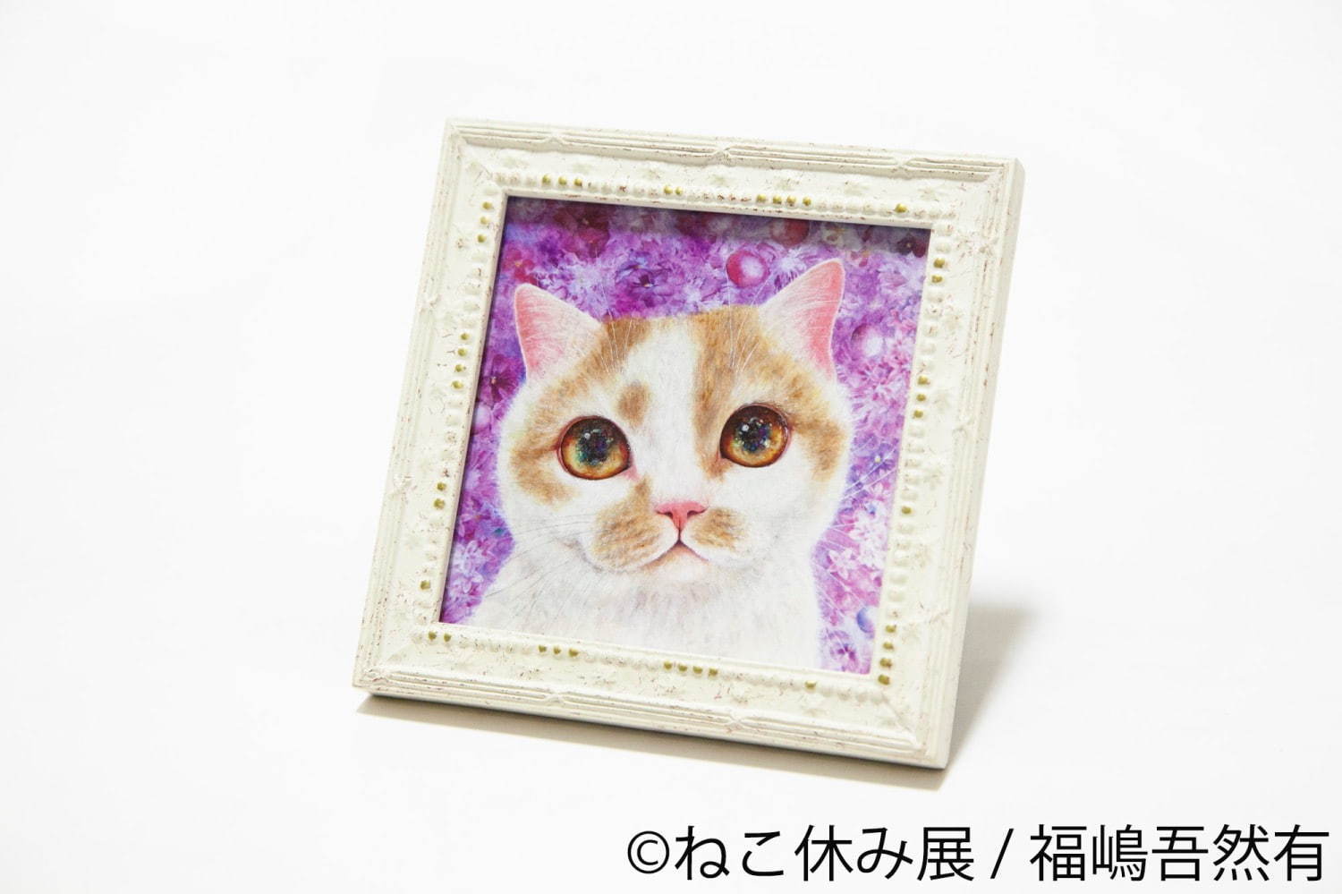 「ねこ休み展 in 横浜みなとみらい」冬らしい“癒し”のねこ写真展示＆限定グッズも｜写真102