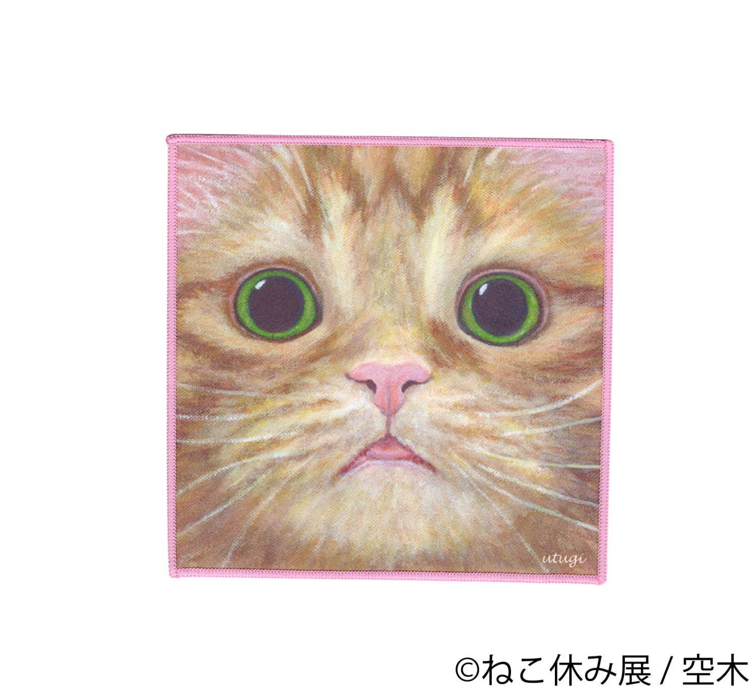 「ねこ休み展 in 横浜みなとみらい」冬らしい“癒し”のねこ写真展示＆限定グッズも｜写真78