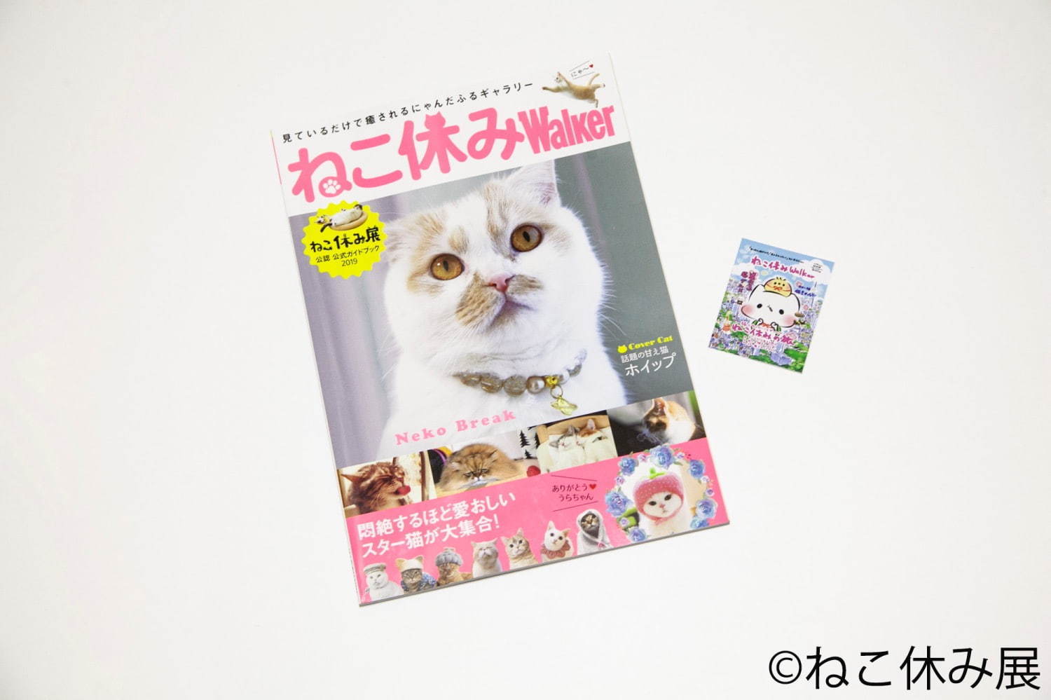 「ねこ休み展 in 横浜みなとみらい」冬らしい“癒し”のねこ写真展示＆限定グッズも｜写真57