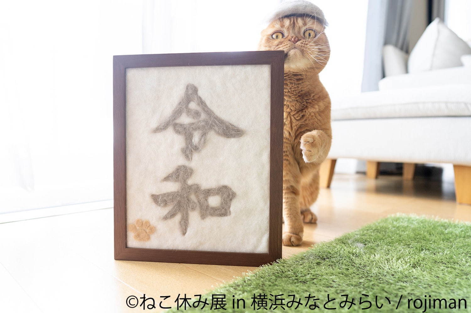 「ねこ休み展 in 横浜みなとみらい」冬らしい“癒し”のねこ写真展示＆限定グッズも｜写真44