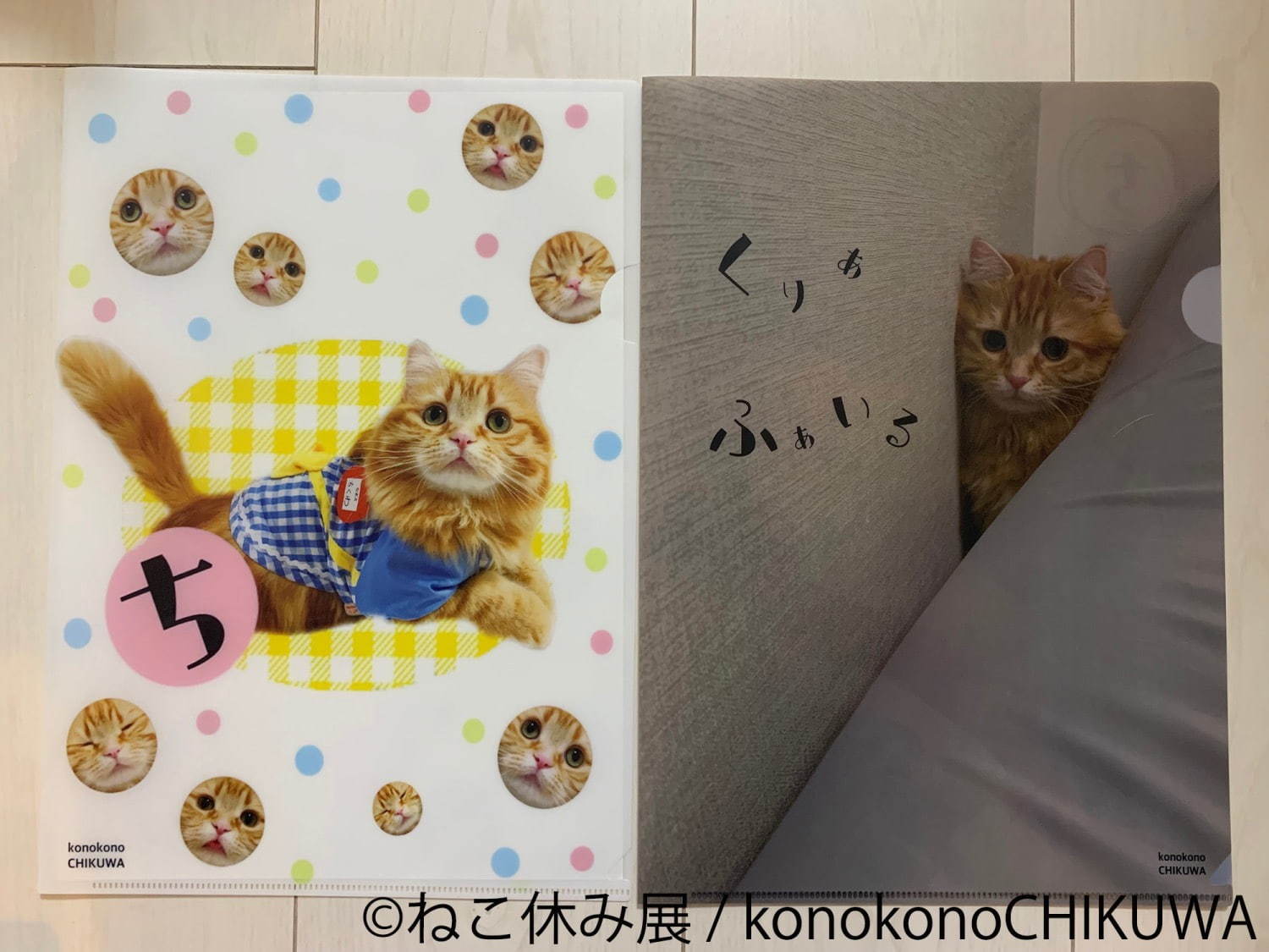 「ねこ休み展 in 横浜みなとみらい」冬らしい“癒し”のねこ写真展示＆限定グッズも｜写真22