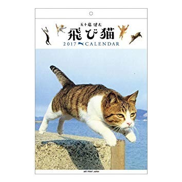 「飛び猫写真展」広島・宮城・秋田で、ネコの“ジャンプ姿”を捉えた作品展示＆グッズ販売も｜写真17